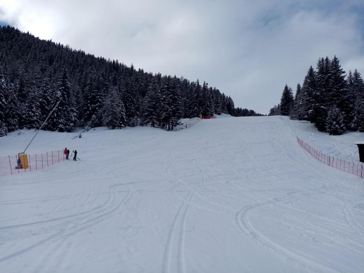 Comodo Alloggio Con Accesso Diretto Alle Piste サンタ・カテリーナ・ヴァルフルヴァ エクステリア 写真