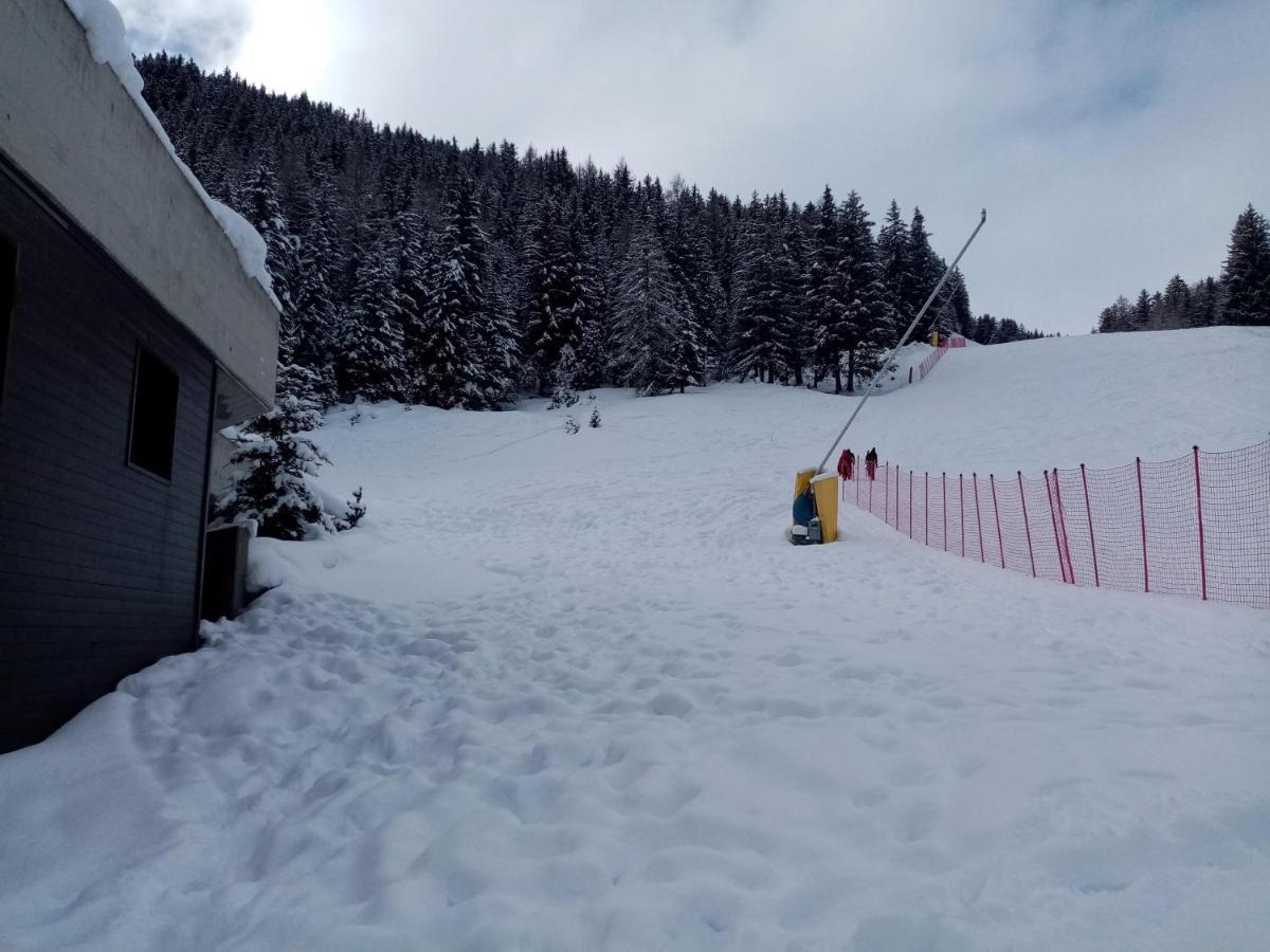 Comodo Alloggio Con Accesso Diretto Alle Piste サンタ・カテリーナ・ヴァルフルヴァ エクステリア 写真